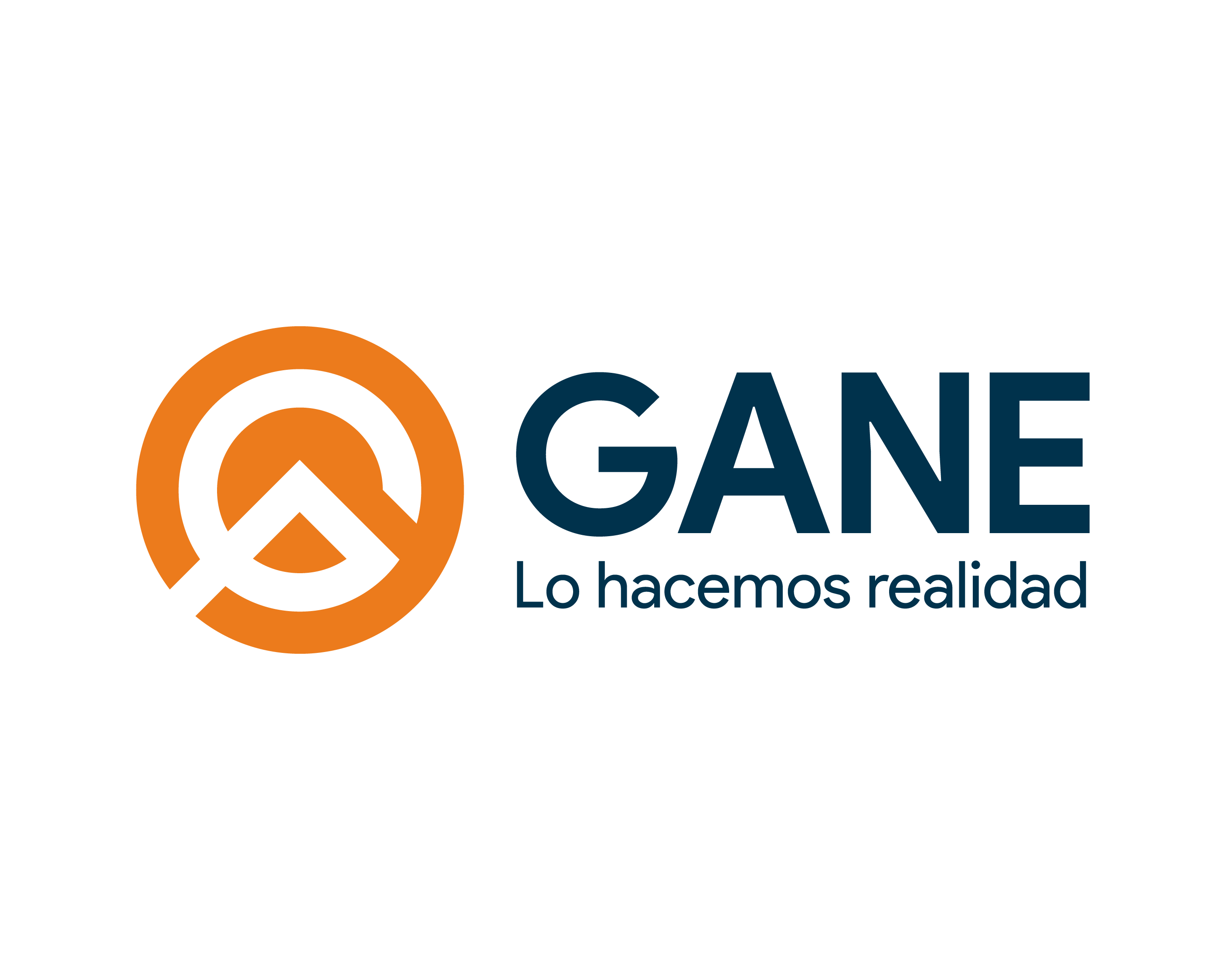 GANE INC